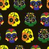 Day of the Dead Skulls